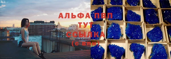 стаф Россошь