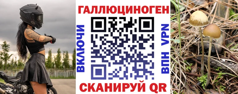 Галлюциногенные грибы Magic Shrooms Черногорск