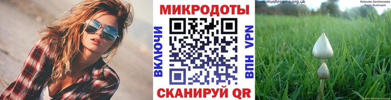 гидра ссылки  Черногорск  Псилоцибиновые грибы мухоморы  магазин продажи  